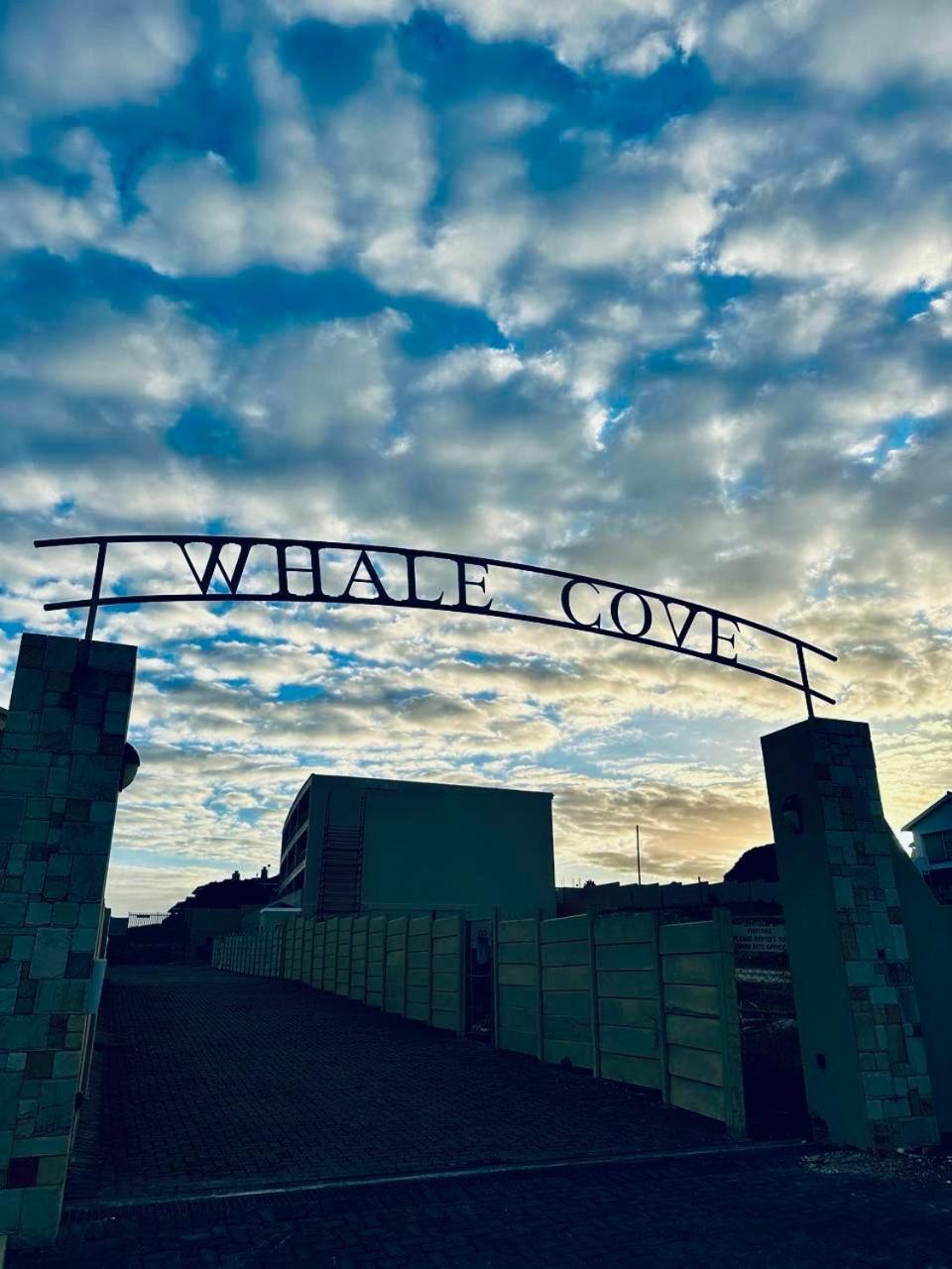 The View At Whale Cove De Kelders Apartment Bagian luar foto